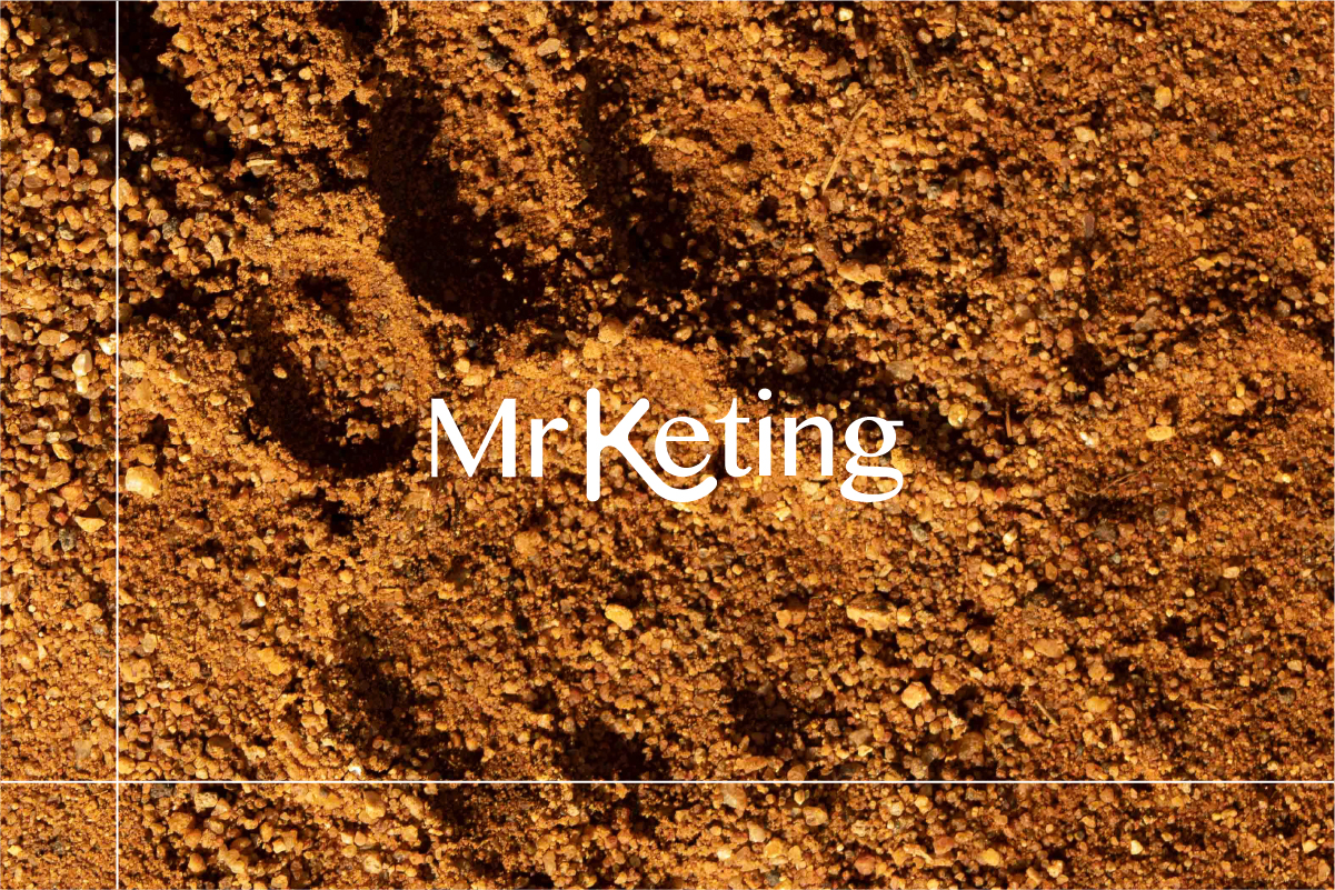 A Beautiful chapter: the new Feralpisalò home by Mr Keting